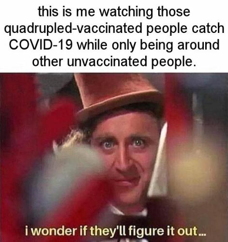 quadruple vaxxed20
