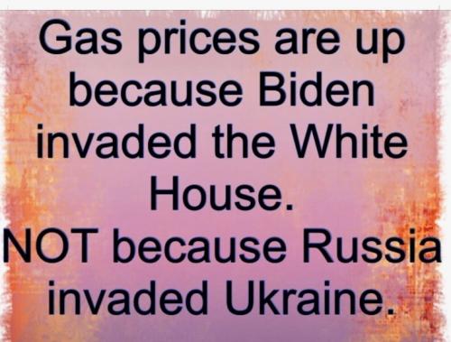 598ED835-1078-4E01-9690-BEABD4EF6DB1