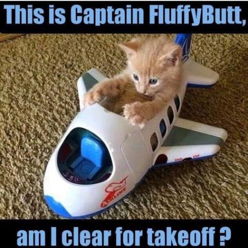 172238003_4230813883620223_6294442435923230726_n