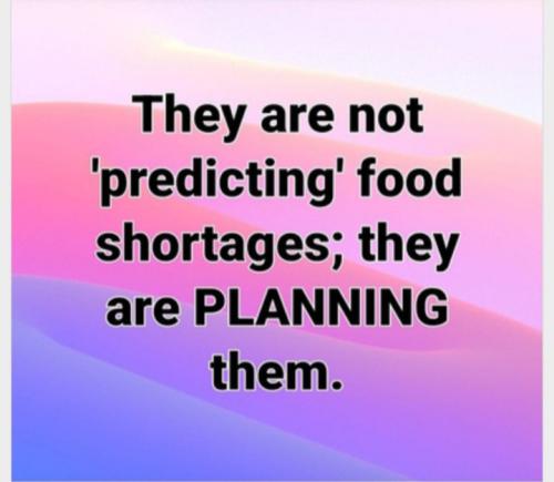 98E17BD5-6C58-464B-9C1D-0D3D6C0AF68E