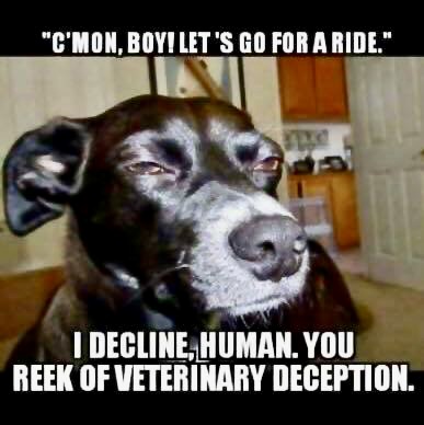 278410365_2037796899735206_697742293349124132_n