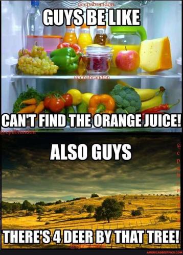 16d015fd-7389-4d77-a37d-5fcfb805d167