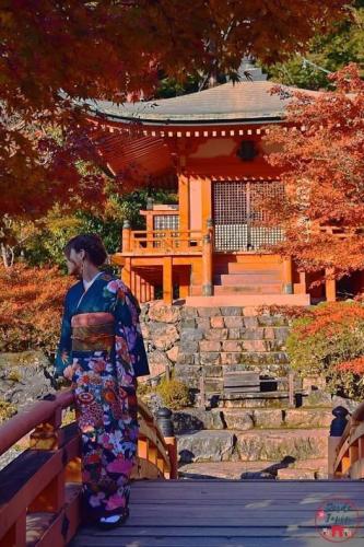 277224175_701078627572096_1266594211183226155_n