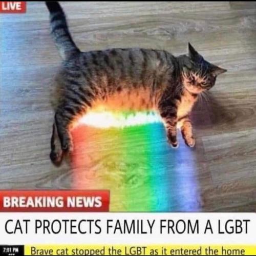 d6481048-5e21-412b-8d91-73d1faf67c0d