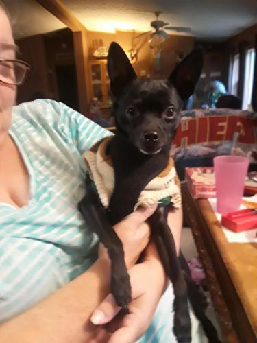 12:21:40 GMT-0400 (EDT)