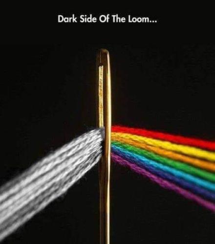 279014921_3923469251210667_2152659329461761720_n