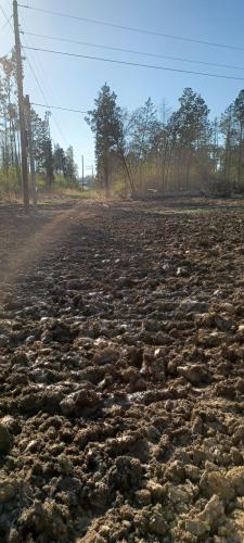 23:06:50 GMT-0500 (CDT)