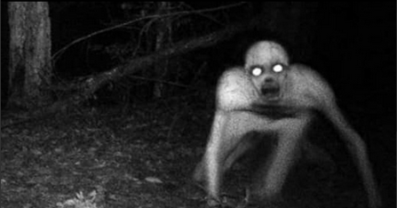 Screen Shot 2021-07-27 at 12.46.56 PM