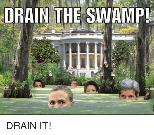 swamp2