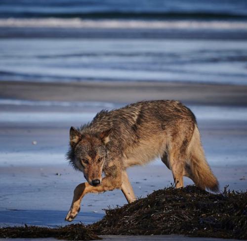 tumblr_dc4870d7a8b130047f143672782a8244_cdfea884_540