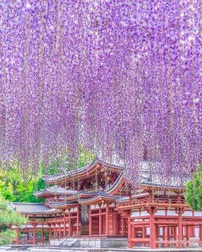 278802093_531988118297195_362083279293962831_n