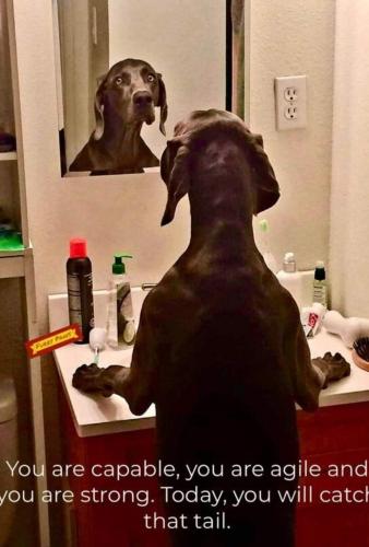 10:28:32 GMT-0400 (EDT)