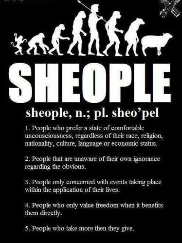 607e37da-6387-46eb-938a-85e887977364