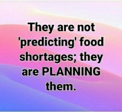 5b68ccef-4529-4dd4-ae3b-6b81c28e83ba