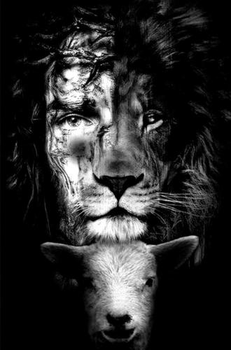 8e542b98-595a-4b72-853d-9e77d5b00122