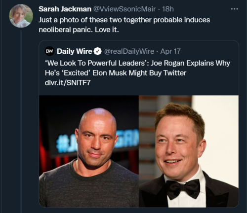 Musk Rogan 1