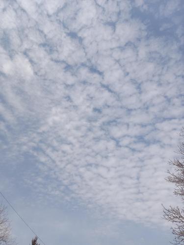 e3868f4f-5c33-4a8e-8316-2538453b4392