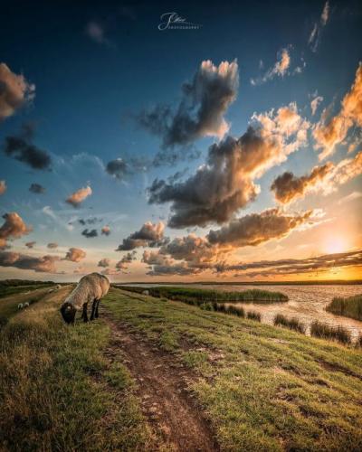 tumblr_62bca1a3b9ce871ee6ba919e92f7c823_38f19d50_540