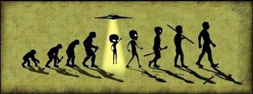 De-Evolution or Evolution?