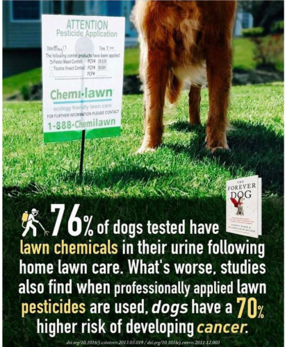 Screenshot_2022-04-18-00-37-13_kindlephoto-633325