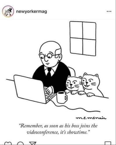 278836975_5190486491015228_6034150556535083683_n