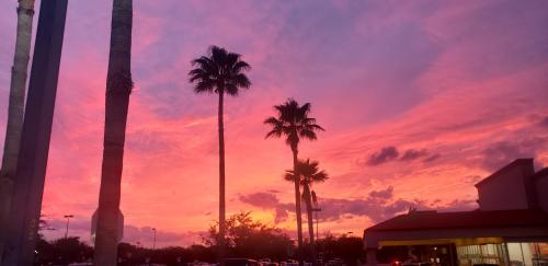 c602b402-b5bd-43fe-8a80-bf3fb4ac9542