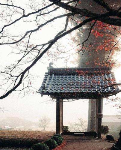 277796431_529150941914246_2537826535791825389_n