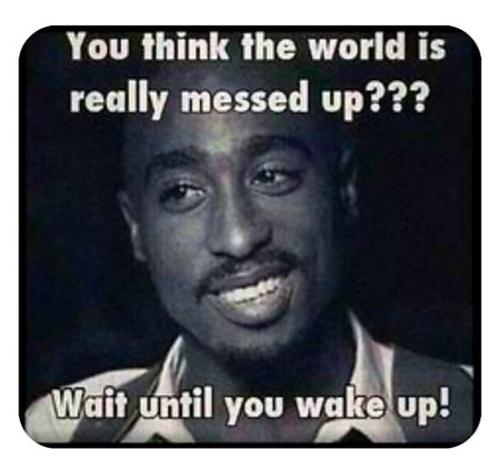 cdd03f28-ea43-40b6-a842-44d0747426a3