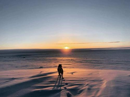 82d95204-4c85-496e-a671-eab2d4cee1cb