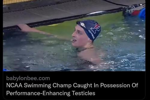 5af32338-fcac-4801-87ec-f4e1dc625edb