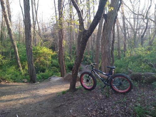 d4663091-ac4f-4c17-a913-c3d4a42c1599