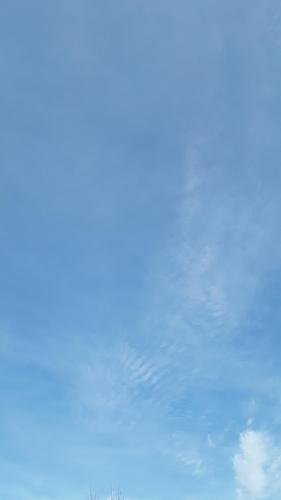 e2b0003c-d454-4970-a0dd-9b0e77af9dfd