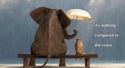 2bf12a97-b3f9-4fa9-8b59-ceac130abb9e