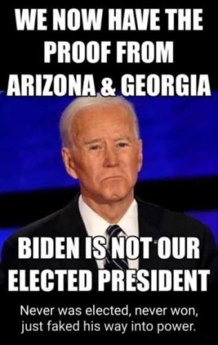 voterfraud311