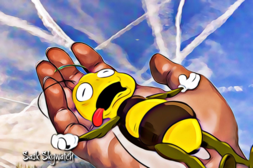 Chemtrails killing bees