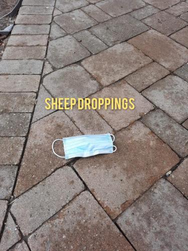 86f9dec6-6f11-4bb1-bbf7-de6d6f434405