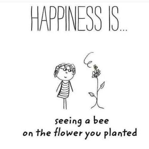 photo_2022-04-24_18-17-51