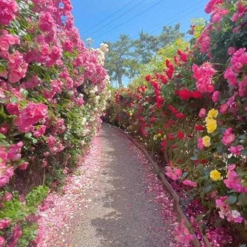 received_668976804122623