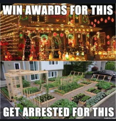 d191de5a-aee7-4aaa-9a8a-2d80bbfe9145