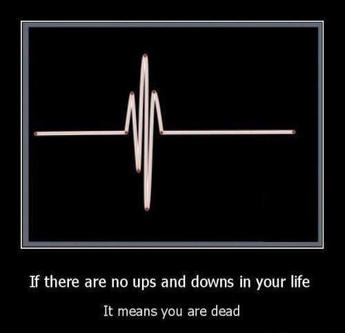 a10fa745-65f2-401d-bcae-6b55890404c7