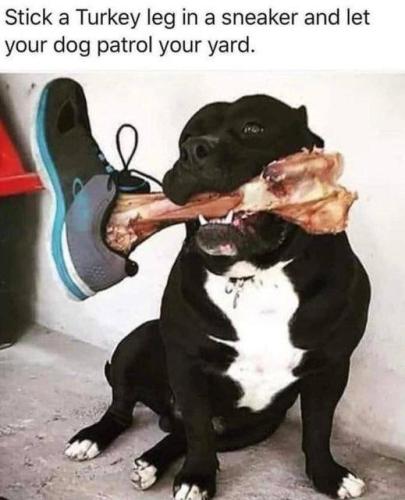 278555758_1908209589370062_1057332337634497878_n