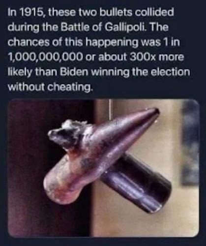 voterfraud318