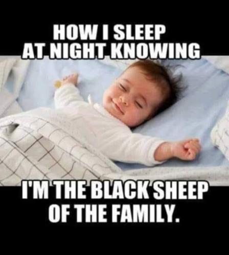 6018731c-d4a0-43a5-8f7e-311c16790317