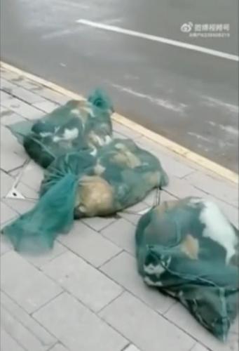 49FCAF59-D3D3-4571-82E3-5C3D89CA8BC5