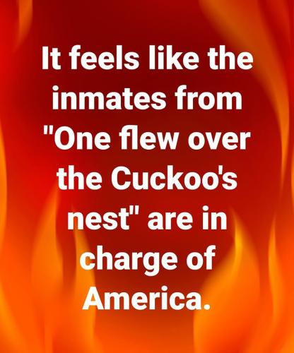 278075682_1421840264940258_4653847827102929610_n