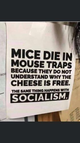 e94e787b-571a-403d-8ad2-82bc72810169