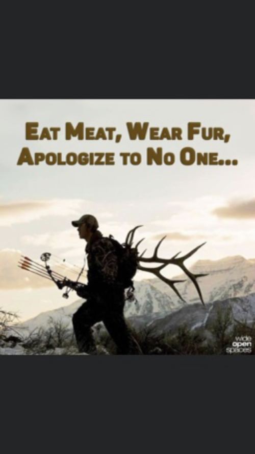 20:26:44 GMT-0500 (CDT).image