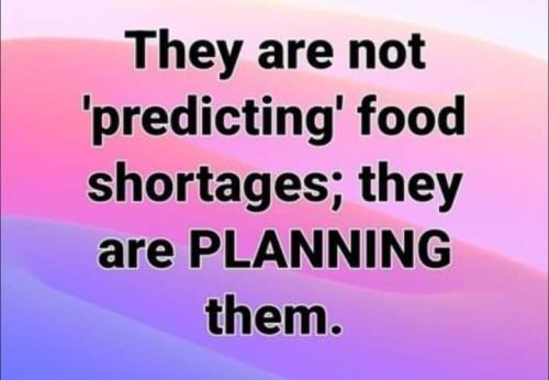 fcede87b-5478-436f-b9a7-1c61db0866ae