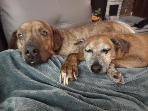 397b9bb6-3c23-4ba4-83e0-c9fa3dc534a7