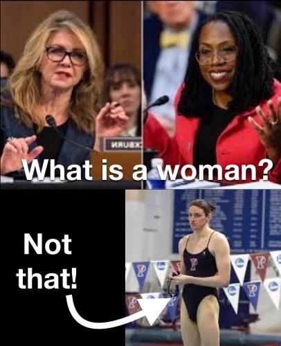 C0D6D951-09A1-425C-AA99-5941B3C8A8F2